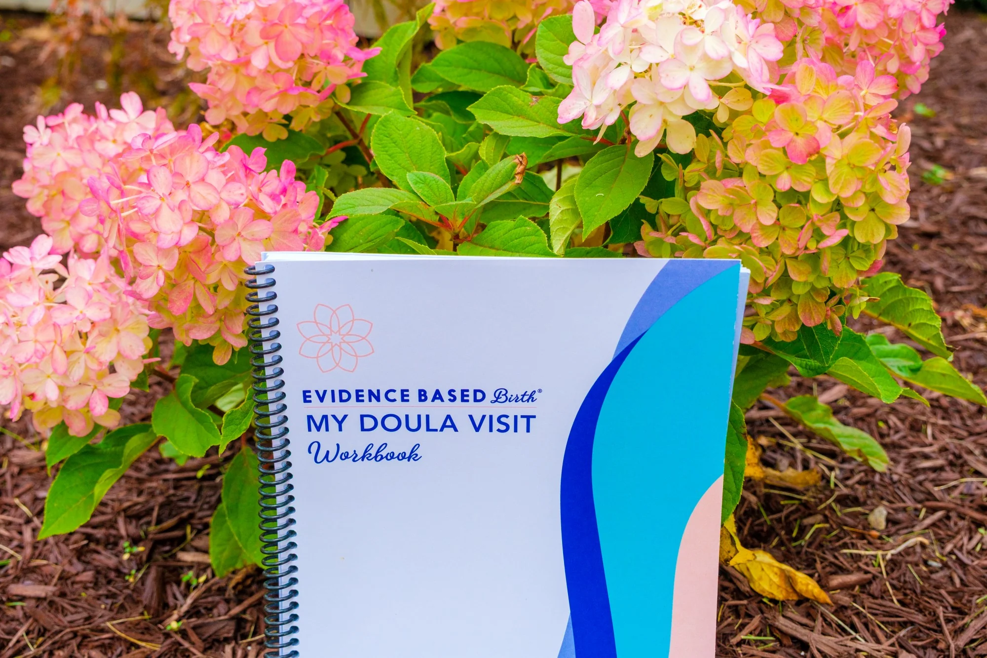 My Doula Visit Workbook